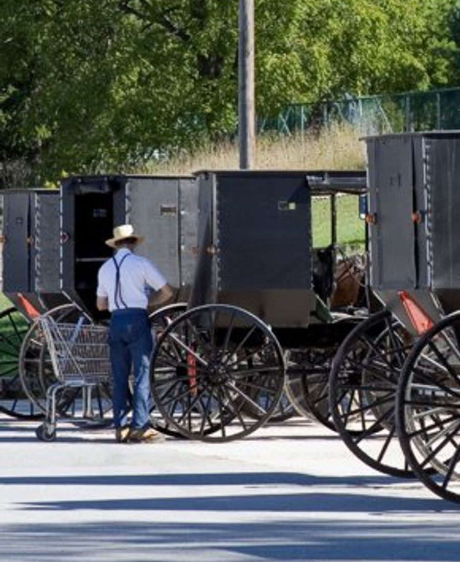 Amish buggy near Murphin Ridge Inn