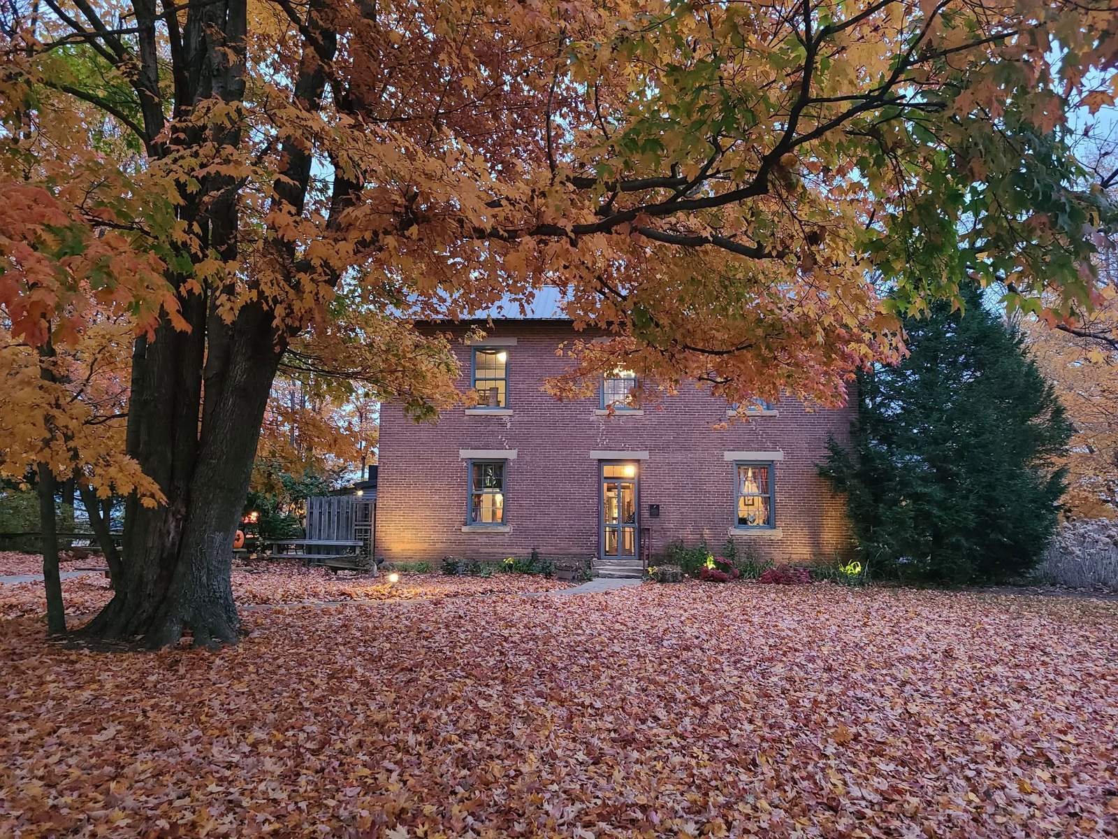 The brick farmhouse at dusk, windows lit, under the maples.